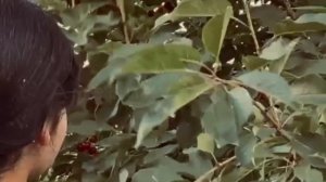 Самолёт я закажу тебя в штаты увезу , подарю Америку тебе ❤️