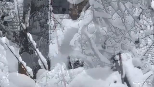 Зимняя сказка. Днепр засыпало снегом. смотреть онлайн