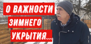 О важности укрытия на зиму