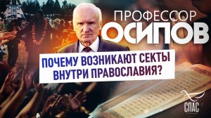 ПРОФЕССОР ОСИПОВ: ПОЧЕМУ ВОЗНИКАЮТ СЕКТЫ ВНУТРИ ПРАВОСЛАВИЯ?