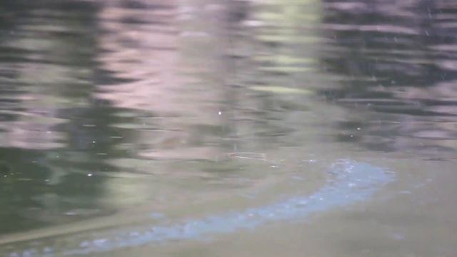 ХЕРАБУНА САЗАНЧИКИ смотреть онлайн