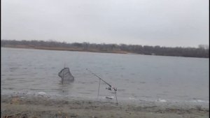 ловля пеленгаса на дону осенью.fishing in Russia on the Don river.mp4