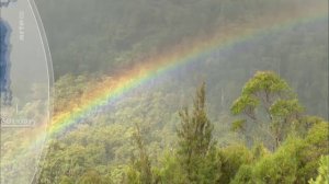 360 Geo - Tasmanie, pauvre petit diable