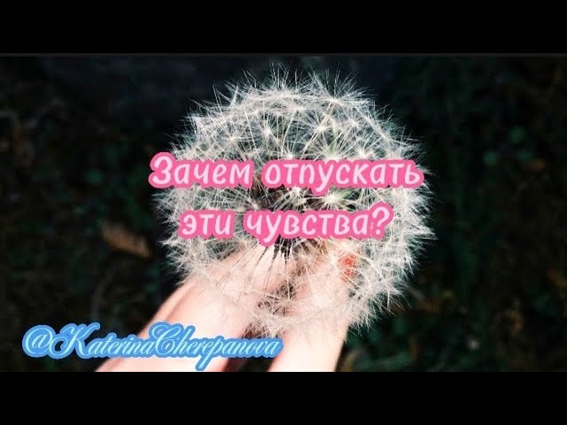 ПОЧЕМУ НУЖНО ОТПУСКАТЬ ОБИДЫ И НЕНАВИСТЬIПосле этого ваше ЖЕЛАНИЕ ИСПОЛНИТСЯ #силамысли #подсознание