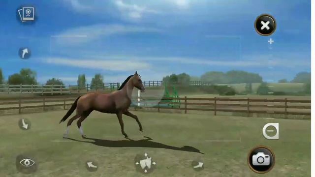 Игра под названием : My Horse ? ,перевод: Мая Лошадь ? смотреть онлайн