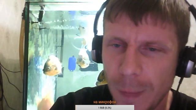 Пробный эфир (проверка микрофона на работоспособность) смотреть онлайн