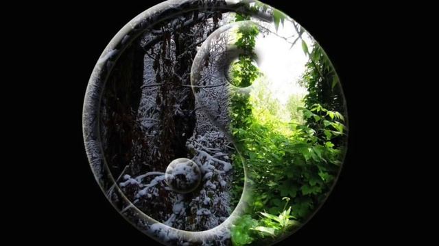 ФилипповFM 07 ОБРЕТЕНИЕ СИЛЫ И СВОБОДЫ ДЕЙСТВИЙ | СЕРГЕЙ ФИЛИППОВ | ПРОБУЖДЕНИЕ смотреть онлайн