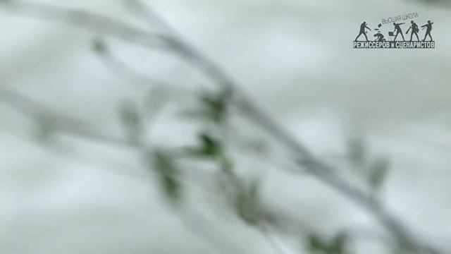 Основы режиссуры документального кино. Педагог - Глеб Петров смотреть онлайн