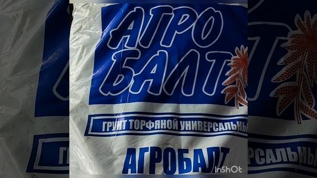 ГОРТЕНЗИИ тонкости размножения и выращивания в домашних условиях