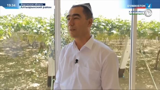 Шавкат Мирзиёев посетил виноградную плантацию в Ферганской области
