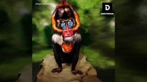 УДИВИТЕЛЬНЫЕ БОДИ-АРТ ИЛЛЮЗИИ!