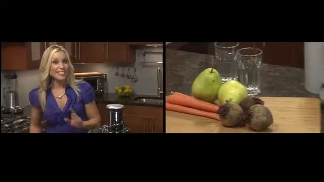 juicer blender (Breville) food processor