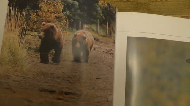 Книжный обзор. Книги про животных смотреть онлайн