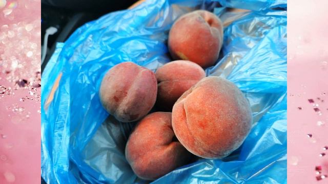 Туристы покупают, а мы нет: Местные на юге поведали случай, после которого не берут арбузы на т смотреть онлайн