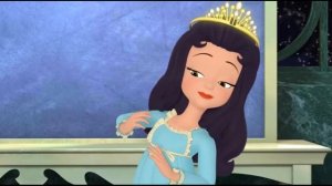 Принцесса София - Сосновые шишки