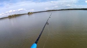 Судак, Щука, Окунь. Рыбалка на вазузе. С такими окунями и щука не нужна ." Воспоминание "