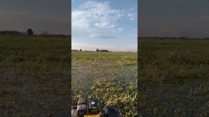 Самодельный вездеход на ободрышах газ 66