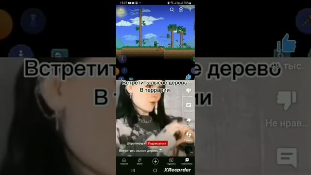 когда встретил лысое дерево в Terraria и Minecraft