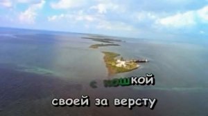 054 Cherniy kot