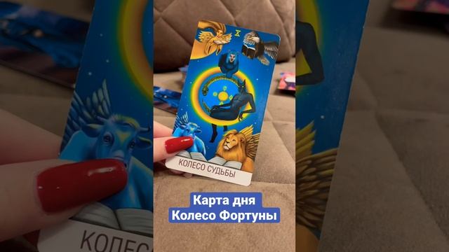 Карта дня Колесо Фортуны