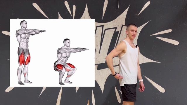 УПРАЖНЕНИЯ НА МАССУ: Приседания со штангой (техника)
