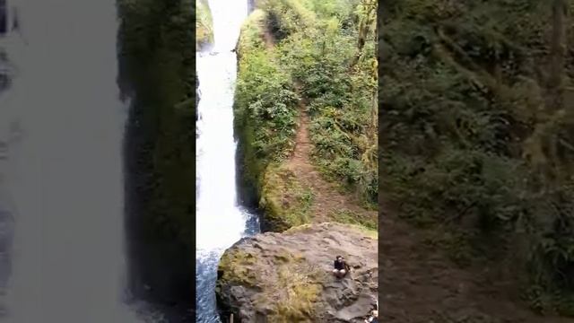 Bridal Veil Falls. Oregon State Parks. USA. ВОДОПАД «ФАТА НЕВЕСТЫ»  #Shorts