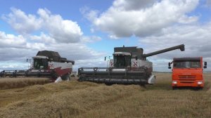 2 новых CLAAS  TUCANO 450 в полях Чувашии на уборке пшеницы