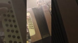 гармонь Чайка Теза СССР