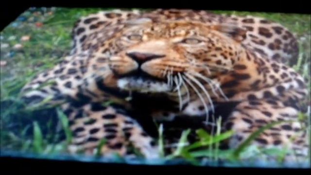 Samsung S27B970D - viewing angles смотреть онлайн