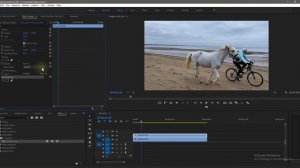 Как сделать Зеркальное Отображение Видео в Premiere Pro