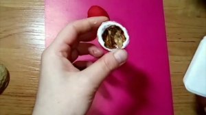 цветок из скорлупы грецкого ореха/поделка walnut shell flower / craft