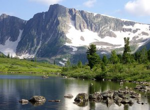 Кто поёт песню