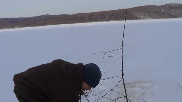 Бодоравки, отличная растопка для костра смотреть онлайн