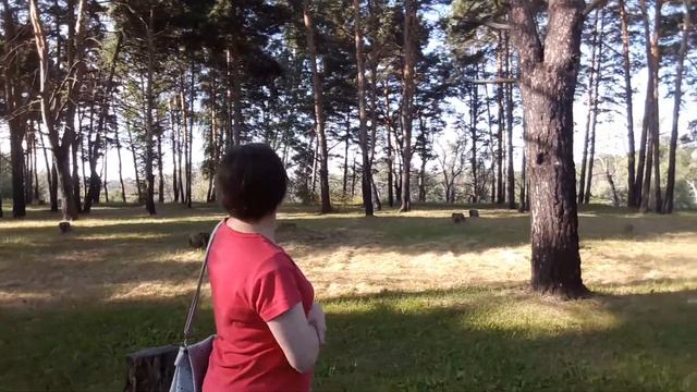 Ишим Бор июль 2019 смотреть онлайн