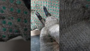 PH и PZ, В чем отличие? Где применяются?