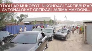 200 долларлик пойга ва никоҳдаги тартибсизликлар, сўнгги манзил 15 сутка