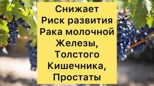 Чем Полезен Виноград?