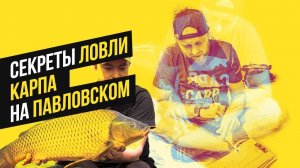 КАРПФИШИНГ НА ВОДОЕМЕ ПАВЛОВСКИЙ! РАБОЧИЕ ОСНАСТКИ И ПРИКОРМКА ДЛЯ ЛОВЛИ КАРПА! ЧАСТЬ 2