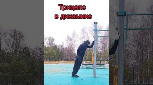 Комплекс Дельиы и Трицепс.