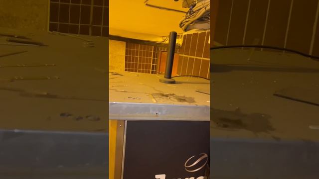 Для Лукашенко и для кофейного автомата, для Starlink - это одна и та же антенна Триада-993
