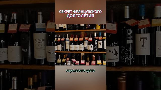 Почему французы живут дольше итальянцев? #психология #самопознание #алексейситников