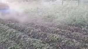 Ботвоудалитель для картофеля