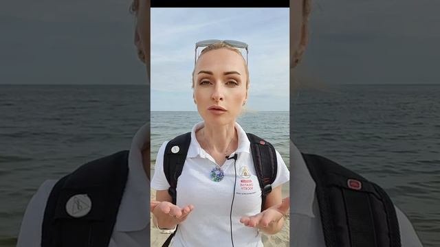 В чем обвиняют волонтеров проекта Созидательное Общество