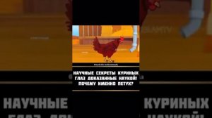 СЛОВА ПРОРОКА ВСЕГДА ПРАВДА! НАУЧНЫЕ СЕКРЕТЫ КУРИНЫХ ГЛАЗ ДОКАЗАННЫЕ НАУКОЙ!ПОЧЕМУ ИМЕННО ПЕТУХ?