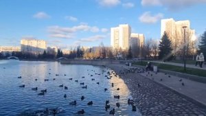 Москва Зеленоград Купить квартиру, в каком районе лучше? Цены на недвижимость, стоит ли переезжать?