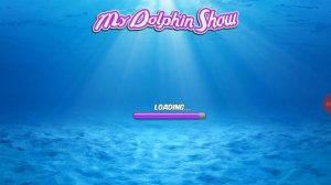 Dolphin show. Дельфин в дельфинарии. Игра с дельфином.