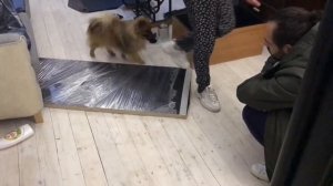 Красивый холодильник своими руками, перекраска Покрасила кухонные фасады Обновление кухни  Часть 2