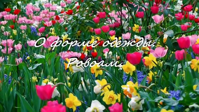 О ФОРМЕ ОДЕЖДЫ. РОВОАМ. смотреть онлайн