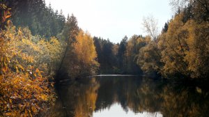 Зарисовка Осенний пруд. 4K
