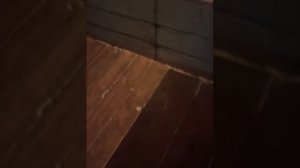 Утепляю пол старого дома. А работа потихоньку, но движется.